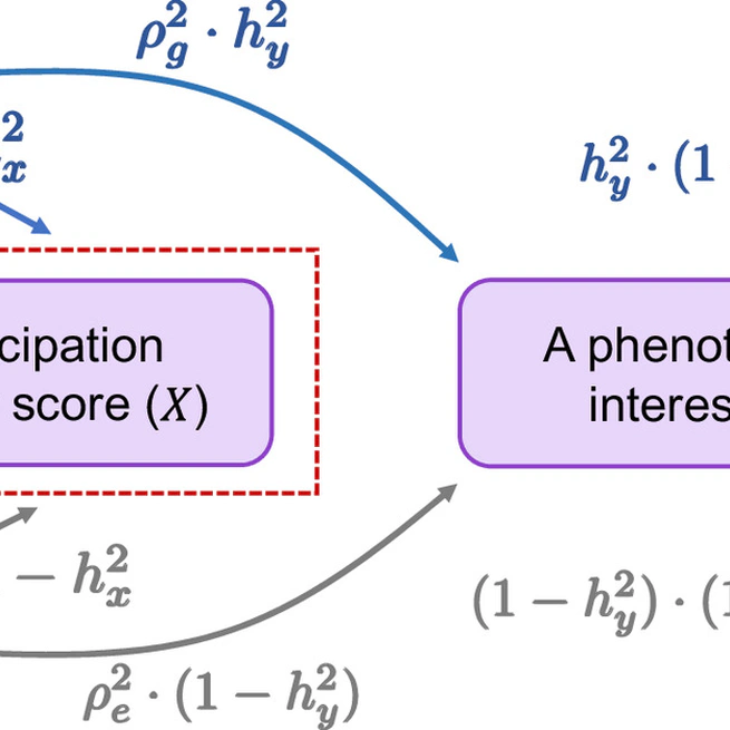 Participation bias in the estimation of heritability and genetic correlation