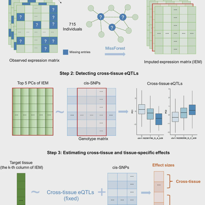 Partitioning and aggregating cross-tissue and tissue-specific genetic effects to identify gene-trait associations