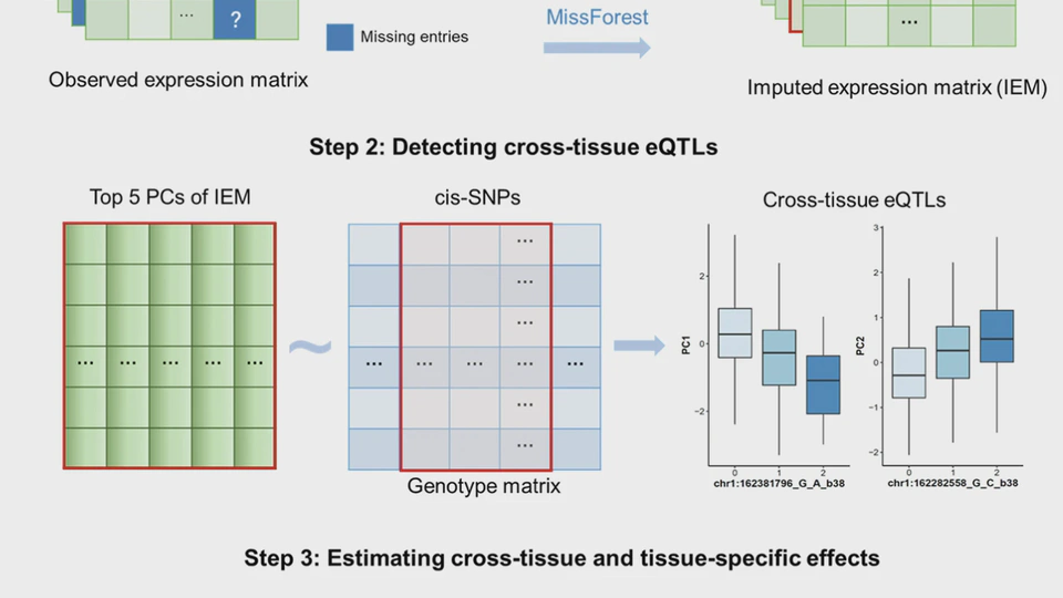 Partitioning and aggregating cross-tissue and tissue-specific genetic effects to identify gene-trait associations